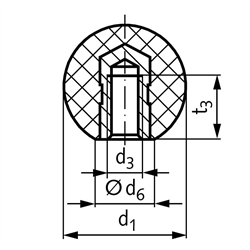 Kugelknopf DIN 319 Form E Thermoplast PA6GV mit Stahlgewindebuchse Durchmesser 20mm M6, Technische Zeichnung
