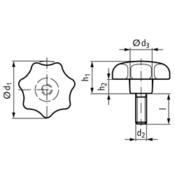 Sterngriffschrauben ST ähnlich DIN 6336 aus Thermoplast, Technische Zeichnung