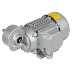Schneckengetriebe- Motoren MEK, bis 13 Nm, 14 bis 280 1/min, Produktphoto