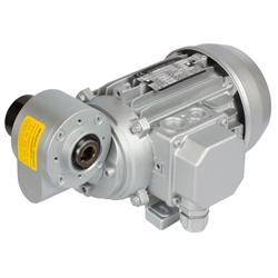 Schneckengetriebe- Motoren MH, bis 17 Nm, 19 bis 560 1/min, Produktphoto