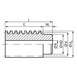 Hohlschnecken aus Stahl, zweigängig rechts, Modul 0,5 bis 2, Technische Zeichnung