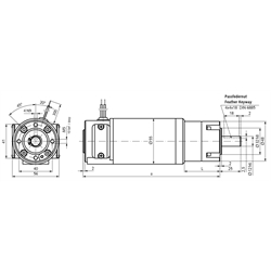 Kleingetriebemotor PE mit Gleichstrommotor 24V Größe 2 n2=392 /min i=7,66:1 , Technische Zeichnung