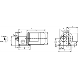 Schneckengetriebe- Motoren RL, bis 7,8 Nm, 0,9 bis 224 1/min, Technische Zeichnung