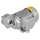 Schneckengetriebe- Motoren MEK, bis 13 Nm, 14 bis 280 1/min
